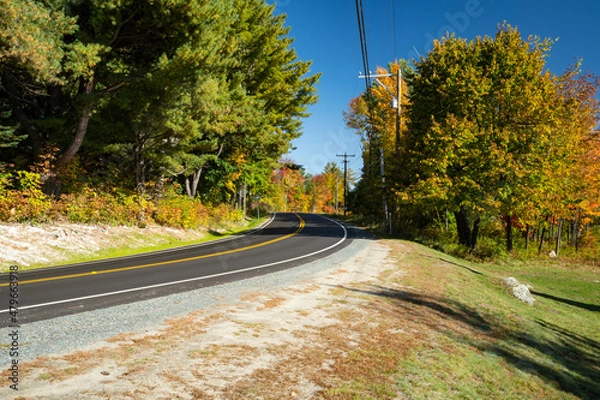 Fototapeta road in autumn forest