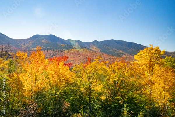 Fototapeta autumn landscape in the mountains