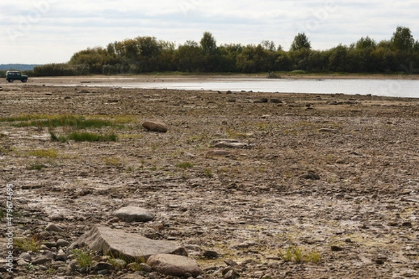 Fototapeta Drying bottom of the river against the background of a natural landscape - shore, trees, sky. Low water level in the reservoir.