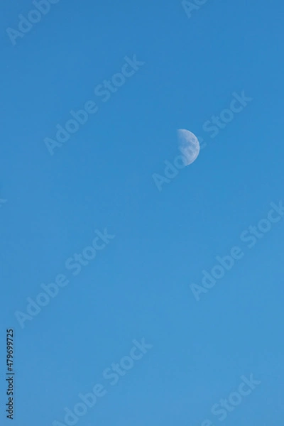 Fototapeta clear blue sky on a frosty day with a crescent moon
