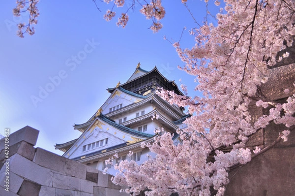 Obraz 大阪城と桜と青空