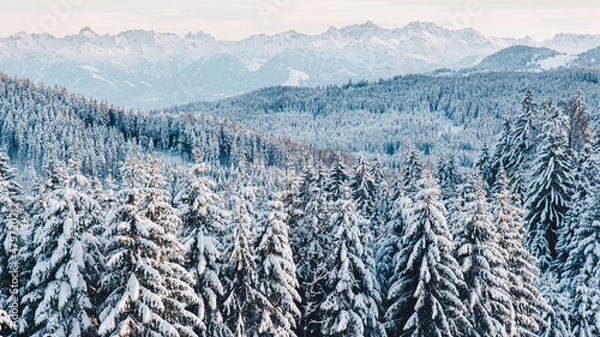 Obraz Winterlandschaft