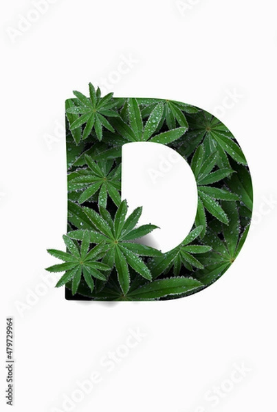 Fototapeta The English letter of the alphabet D, isolated on a white background. Stylized with a collage of a photo of a lupin flower leaf. Concept: graphic design, decorated font.