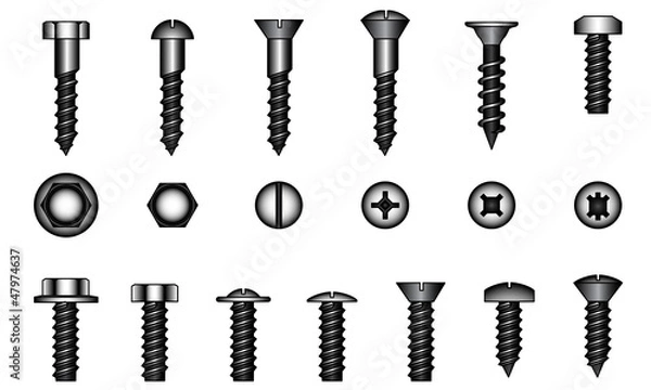 Obraz Set of screws, vector