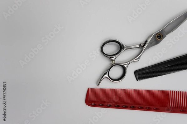 Fototapeta set of professional stylist tools on a light background