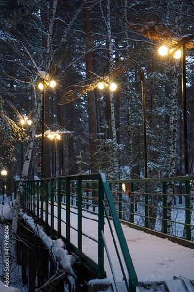Fototapeta Snowy forest and bridge