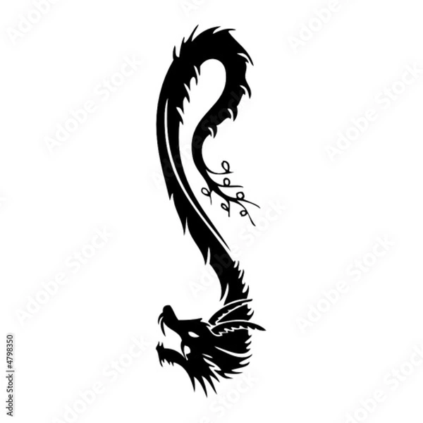 Obraz dragon vector tatoo