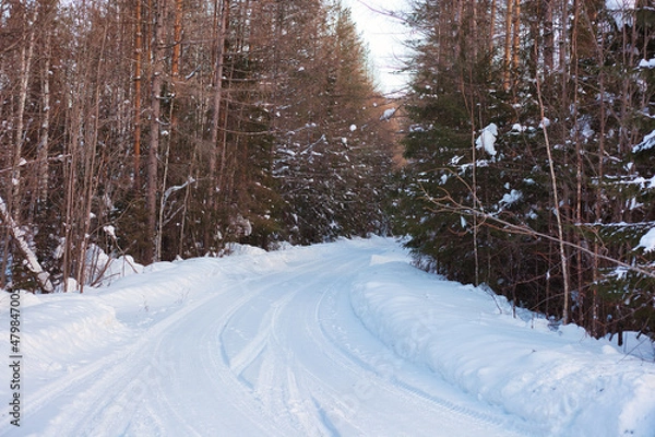 Obraz Winter road in the forest