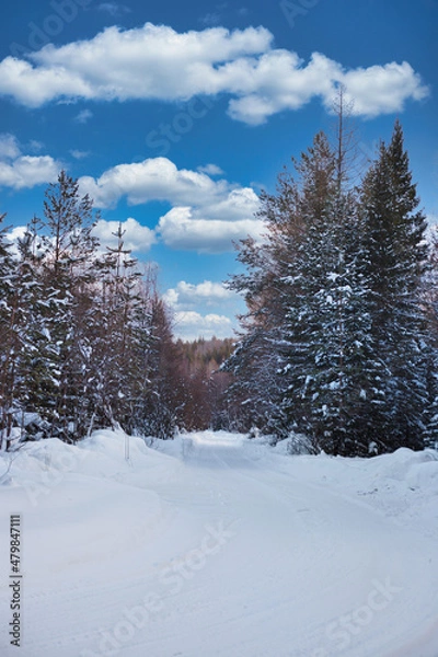 Obraz Winter road in the forest