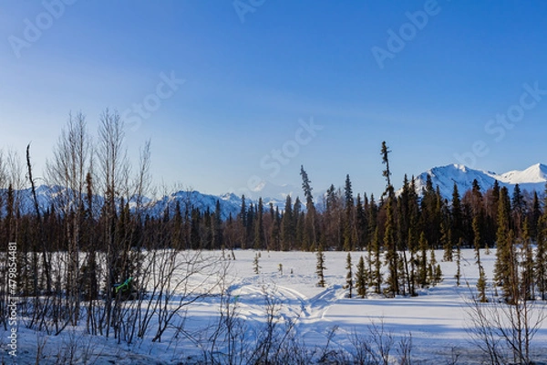 Fototapeta Sunny snowy view of the Denali State Park with Mount McKinley