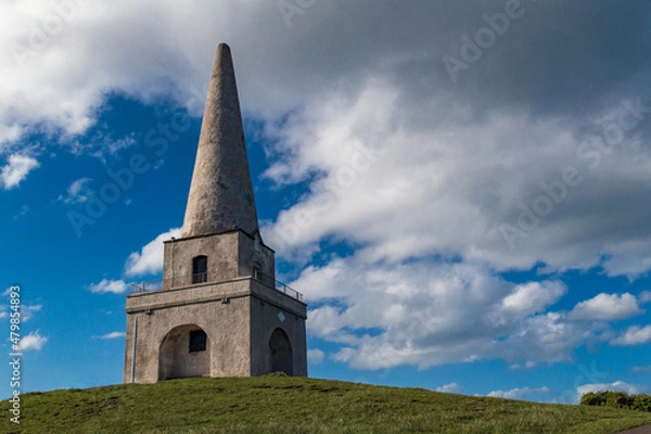 Fototapeta The view of the Killiney Hill Obelisk in Dublin, Ireland.