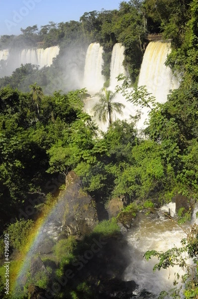 Obraz catarata iguazu 
