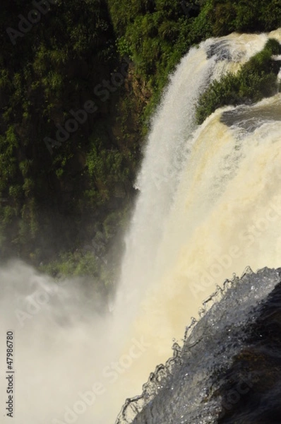 Obraz catarata iguazu 