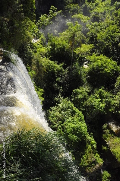 Obraz catarata iguazu 