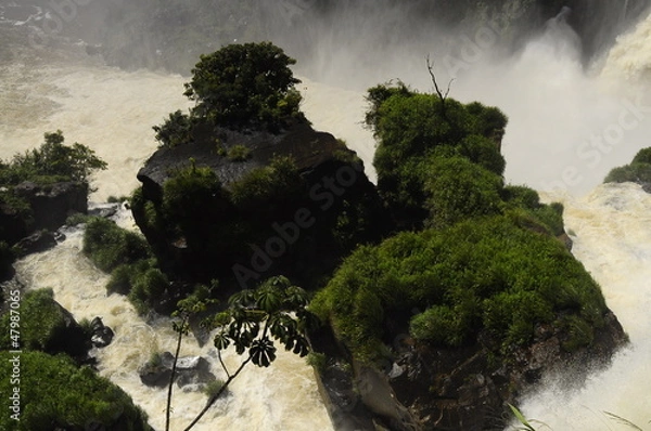 Obraz catarata iguazu 