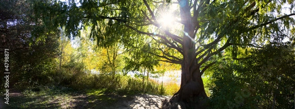 Obraz Lake view with controvert sunshine