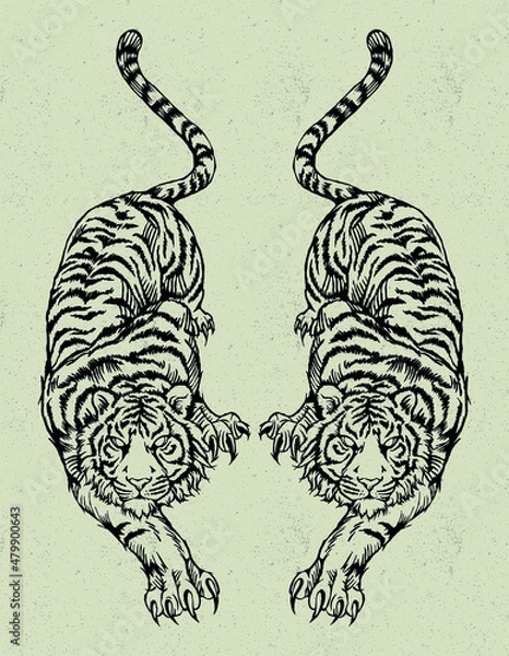 Obraz tiger couple perfect for 2022