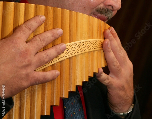 Fototapeta person playing the flute