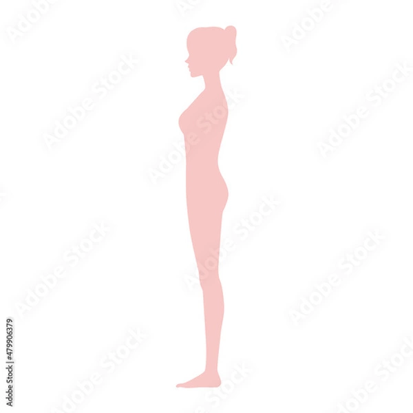 Fototapeta 女性のシルエット横向き