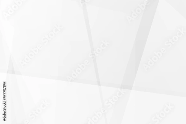 Fototapeta Abstract white and grey on light silver background modern design. Vector illustration EPS 10.