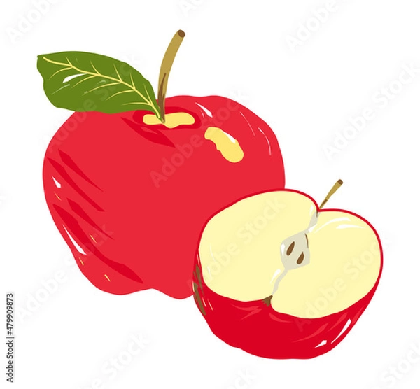 Obraz Red apple with twig and green leaf. Nearby is half an apple. Apple cut in half with a yellow core. Composition of two apples. Vector illustration, cartoon style, painted with large strokes. Vector