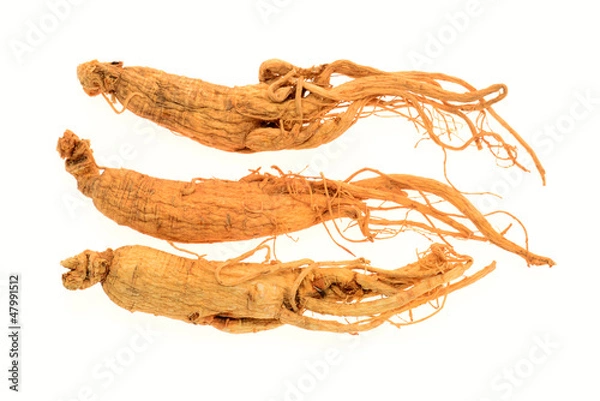Obraz Preserved Ginseng Roots