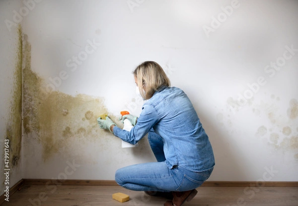 Obraz pretty blonde woman with mouth nose mask cleans dangerous mold from dirty apartment wall