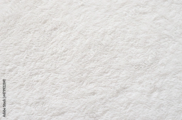 Obraz White fur surface texture 