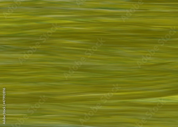 Obraz vector green grass abstract background illustration