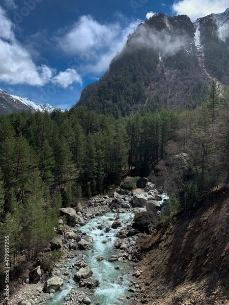 Obraz mountain river in the mountains
