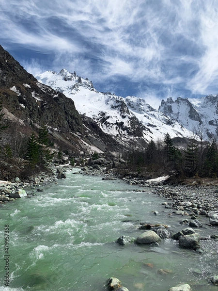 Obraz river in the mountains