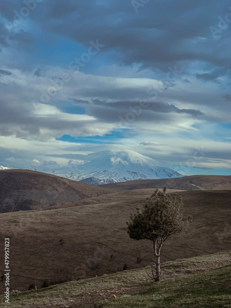 Obraz tree in the mountains