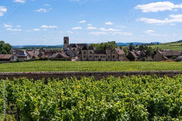 Obraz Vinyards Pommard Burgundy