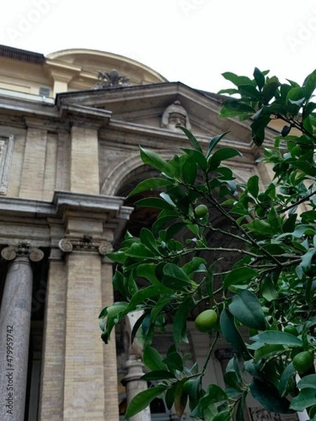 Obraz stone arch in the park