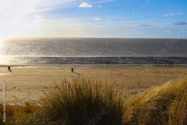 Obraz Dunes, beach, marram grass