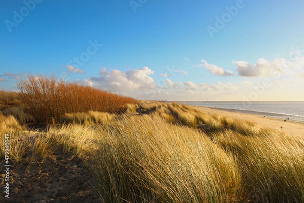 Obraz Dunes, beach, marram grass