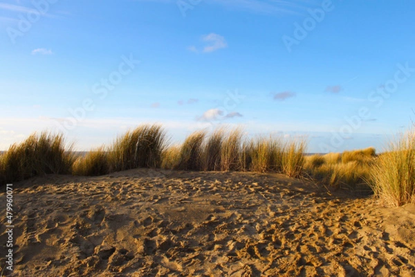Obraz Dunes, beach, marram grass