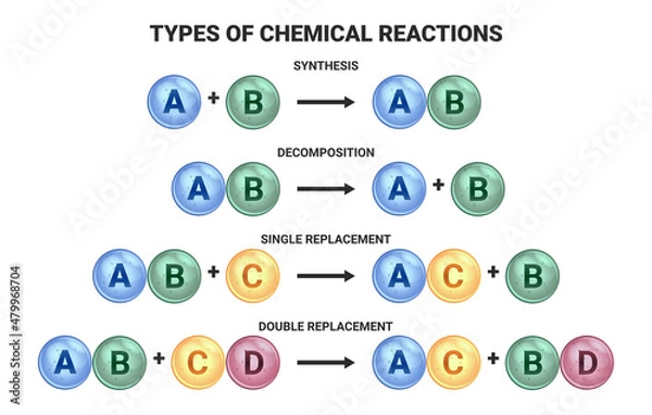 Fototapeta Vector scientific illustration of four basic types of chemical reactions isolated on a white background. Synthesis, decomposition, single replacement, and double replacement.