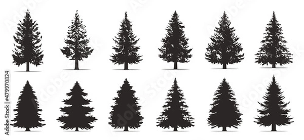 Fototapeta Pine trees collection. Conifer tree silhouettes on the white background Collection. Bundle of trees.
