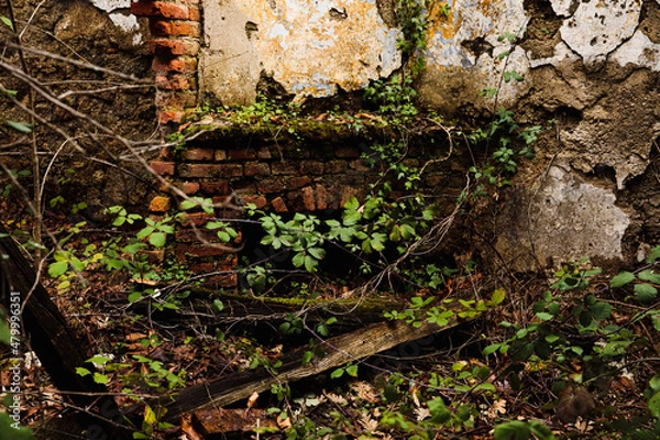 Obraz Stone house interior with abandoned fireplace, rural depopulation concept