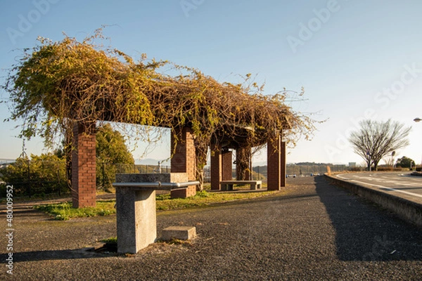 Obraz 熊本の光の森近くの公園 バスケットコート