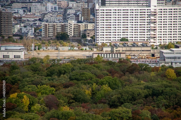 Obraz 大阪城観光