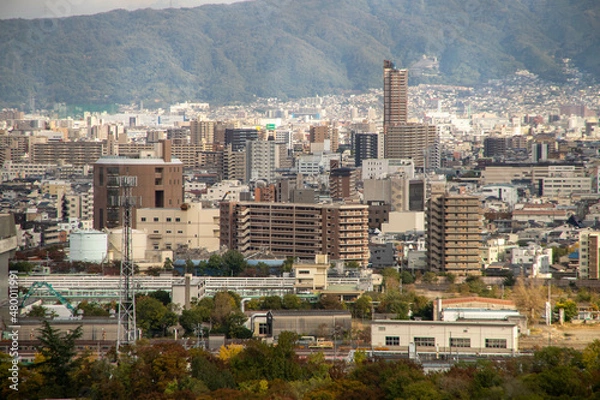 Obraz 大阪城観光