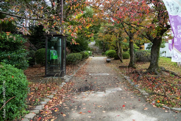 Obraz 大阪城周辺の散歩