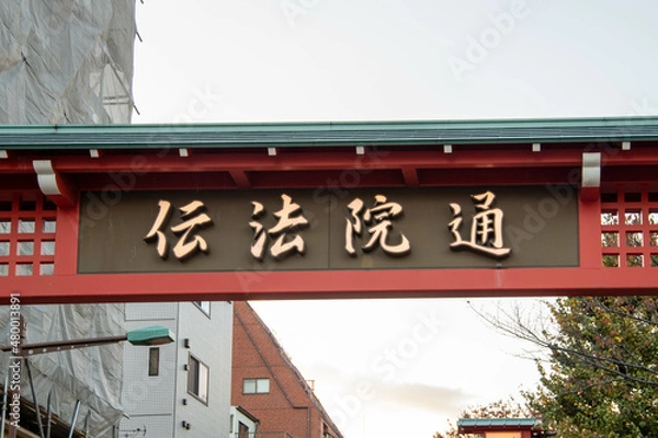 Fototapeta 東京観光 浅草