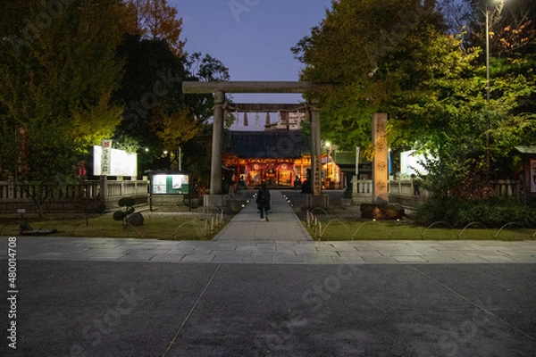 Fototapeta 東京観光 浅草散歩