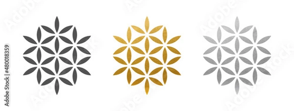 Fototapeta Flower of Life - Vector Set