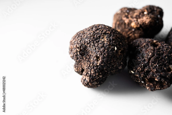 Fototapeta Detail of a freshly picked bio black truffle on a white background ready to serve in a restaurant. Tuber nigrum