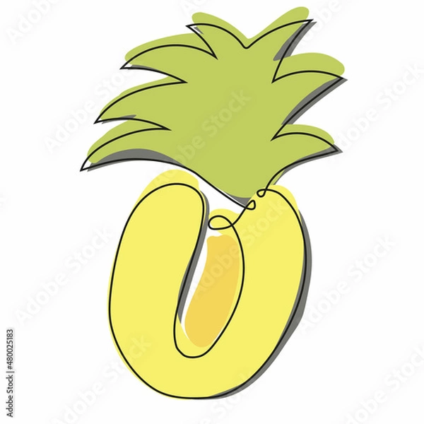 Obraz Half pineapple One continuous line art drawing vector illustration minimalist design. Colorful doodle.