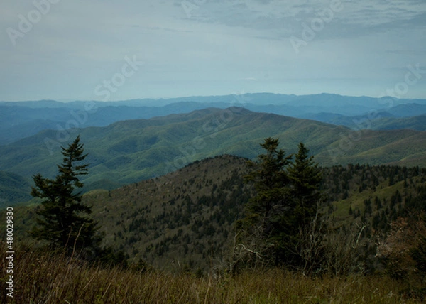 Obraz Great Smoky Mountains